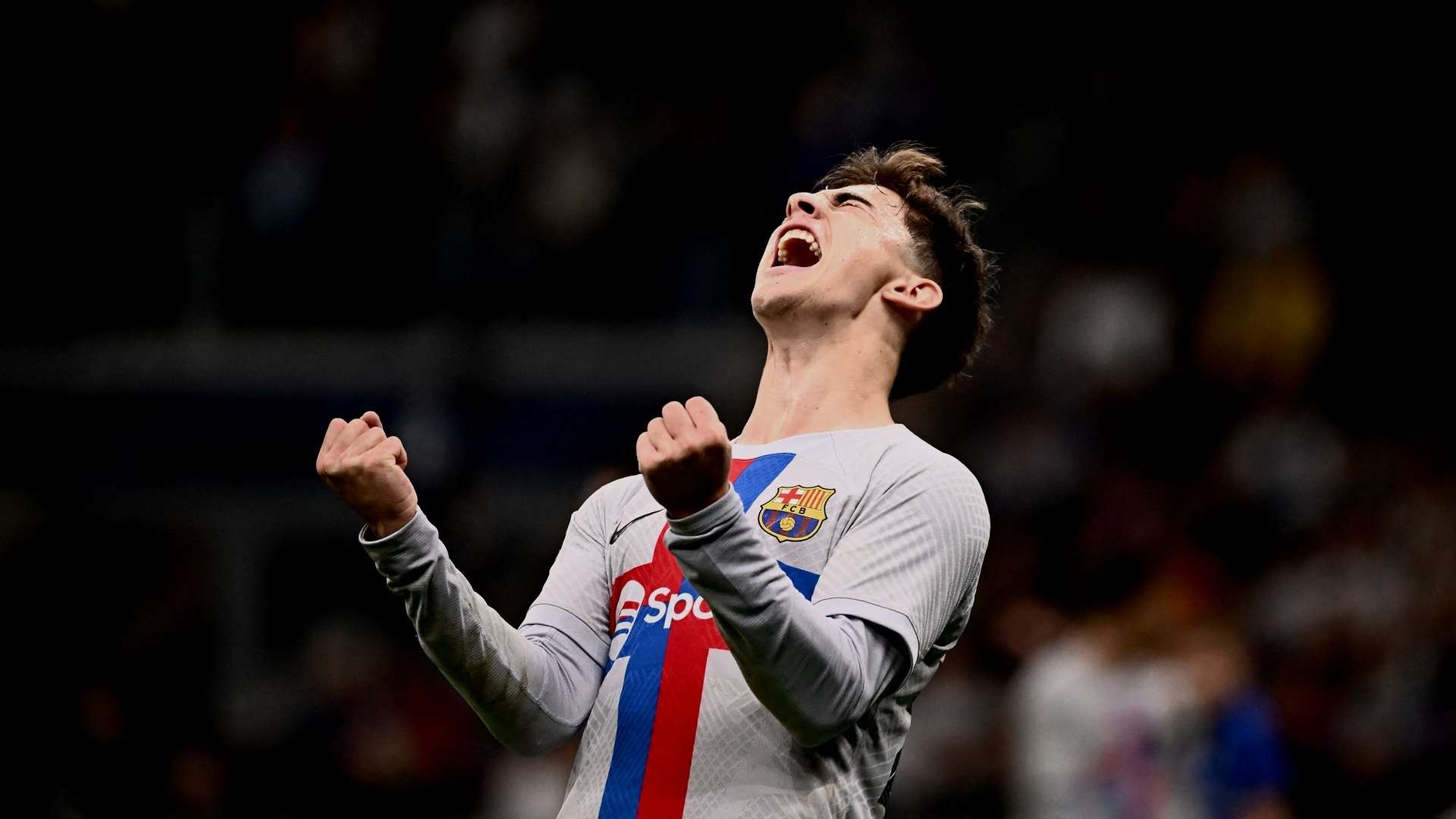 使其在各种 使其在各种