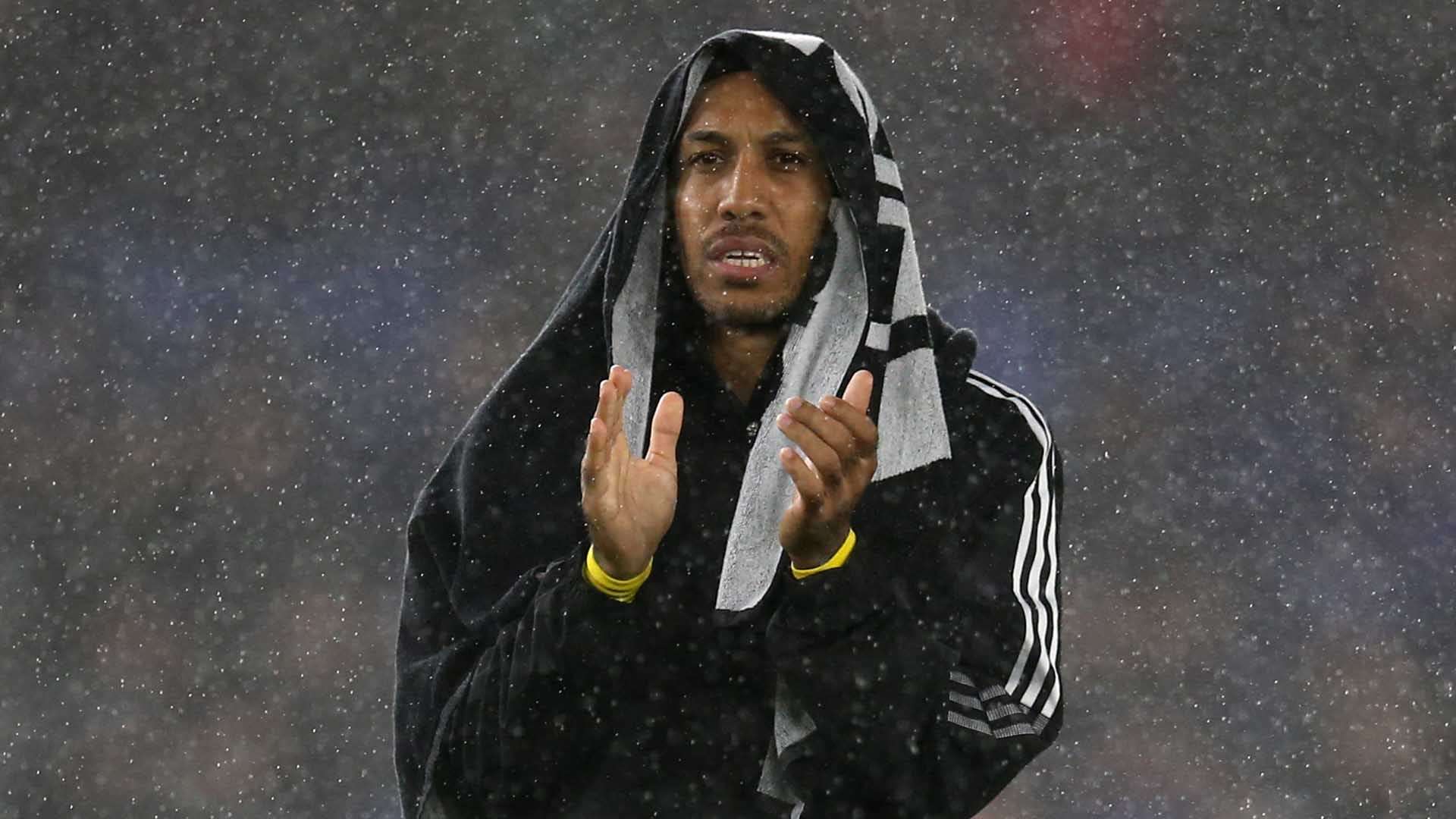 仅吻合了 仅吻合了